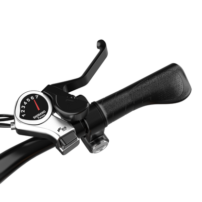 Globalkeep ME Pro Moped-Style Electric Bike